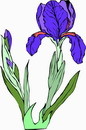 花朵鲜花_273eps,ai矢量模版下载