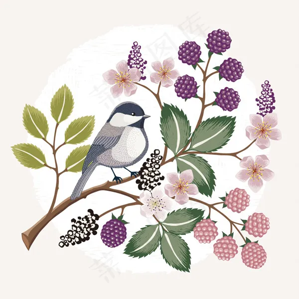 唯美手绘花鸟插画eps,ai矢量模版下载