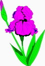 花朵鲜花_709eps,ai矢量模版下载