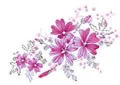 PSD精美花纹_45psd模版下载