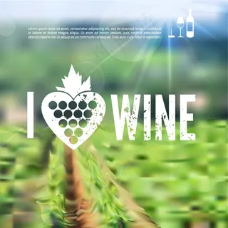 模糊葡萄田背景