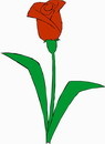 花朵鲜花_901eps,ai矢量模版下载