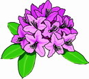 花朵鲜花_366eps,ai矢量模版下载