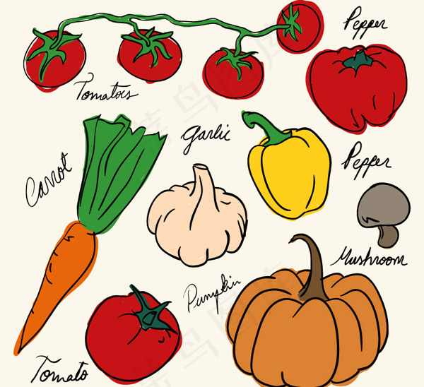 彩绘蔬菜设计