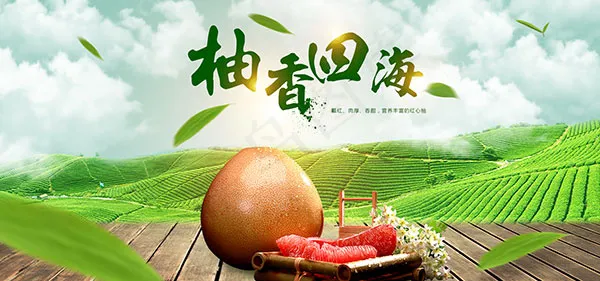 红心柚子店铺首页psd模版下载