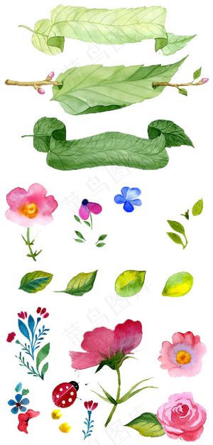手绘花卉绿叶