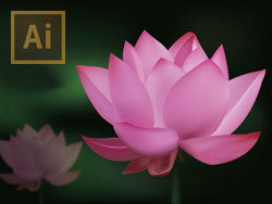 写实荷花矢量ai矢量模版下载