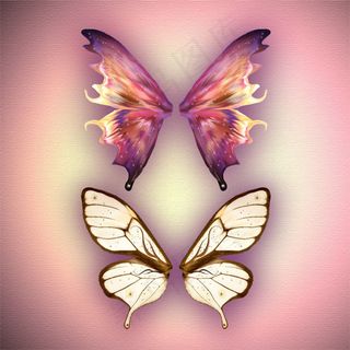 粉色蝴蝶翅膀