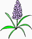 花朵鲜花_667eps,ai矢量模版下载