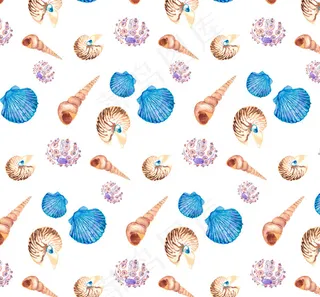 海螺和贝壳背景