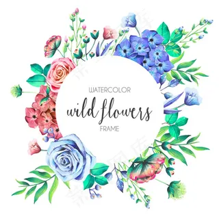 水彩绘野生花卉框架 水彩绘野生花卉框架