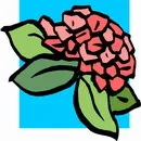 花朵鲜花_1026eps,ai矢量模版下载