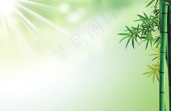 清新竹子海报背景