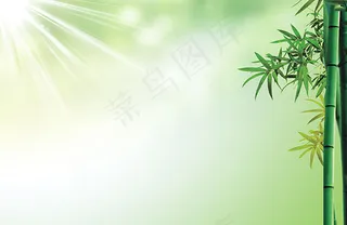 清新竹子海报背景