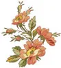 PSD精美花纹_1psd模版下载