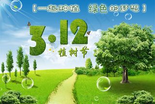 种植绿色梦想