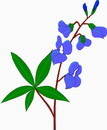 花朵鲜花_656eps,ai矢量模版下载