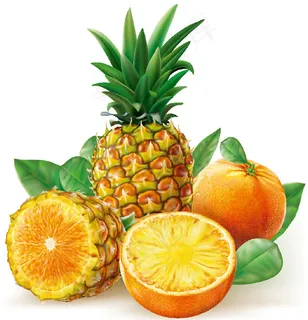 橙色水果菠萝 橙色水果菠萝