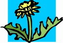 花朵鲜花_1032eps,ai矢量模版下载