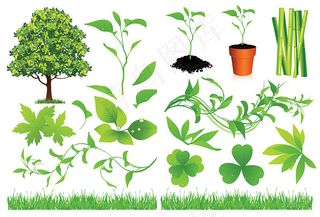 绿色植物矢量,免抠元素