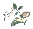 PSD精美花纹_64psd模版下载