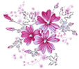 PSD精美花纹_44psd模版下载