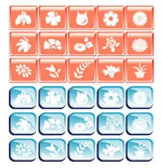 矢量花系列按钮