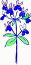 花朵鲜花_643eps,ai矢量模版下载