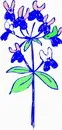 花朵鲜花_643eps,ai矢量模版下载