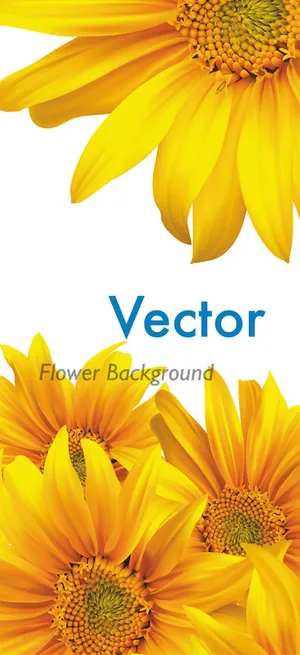 向日葵背景