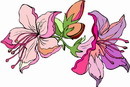 花朵鲜花_150eps,ai矢量模版下载