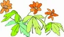 花朵鲜花_322eps,ai矢量模版下载