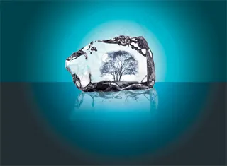 冰块里的风景