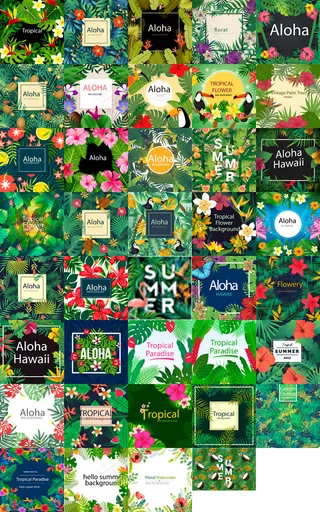 热带植物元素背景