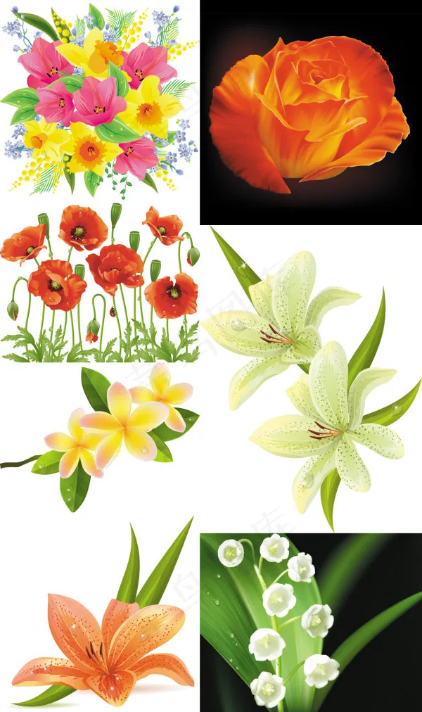 精美鲜花花朵eps,ai矢量模版下载