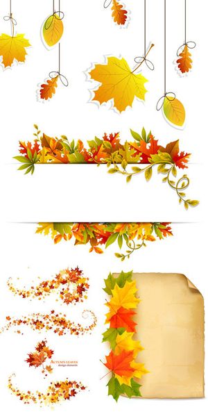 树叶落叶矢量