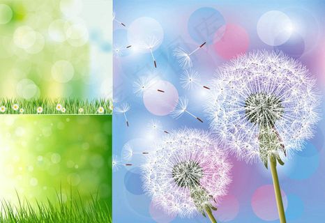 唯美蒲公英矢量