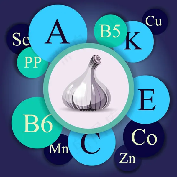 大蒜和营养成分eps,ai矢量模版下载