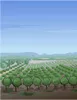 矢量风景背景_31,背景元素ai矢量模版下载