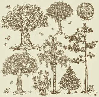 手绘大树