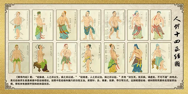 人体十四正经图(6803X3402(DPI:72))psd模版下载