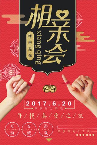 寻找真爱相亲海报