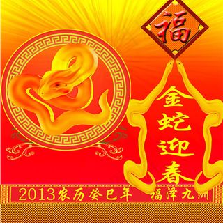 金蛇迎春福泽九州