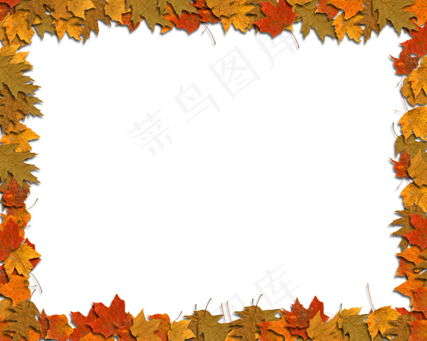 树叶素材边框02