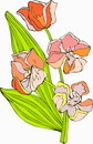 花朵鲜花_233eps,ai矢量模版下载