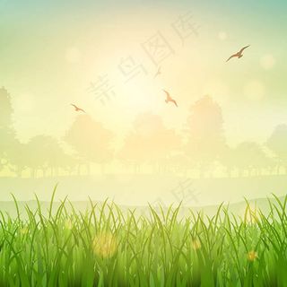 绿色草地自然风景