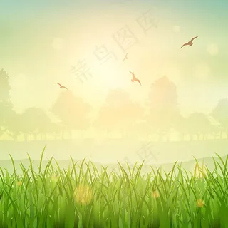 绿色草地自然风景