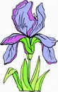 花朵鲜花_270eps,ai矢量模版下载