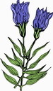 花朵鲜花_169eps,ai矢量模版下载