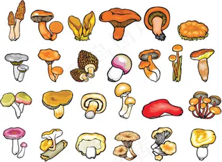 手绘蘑菇植物,免抠元素